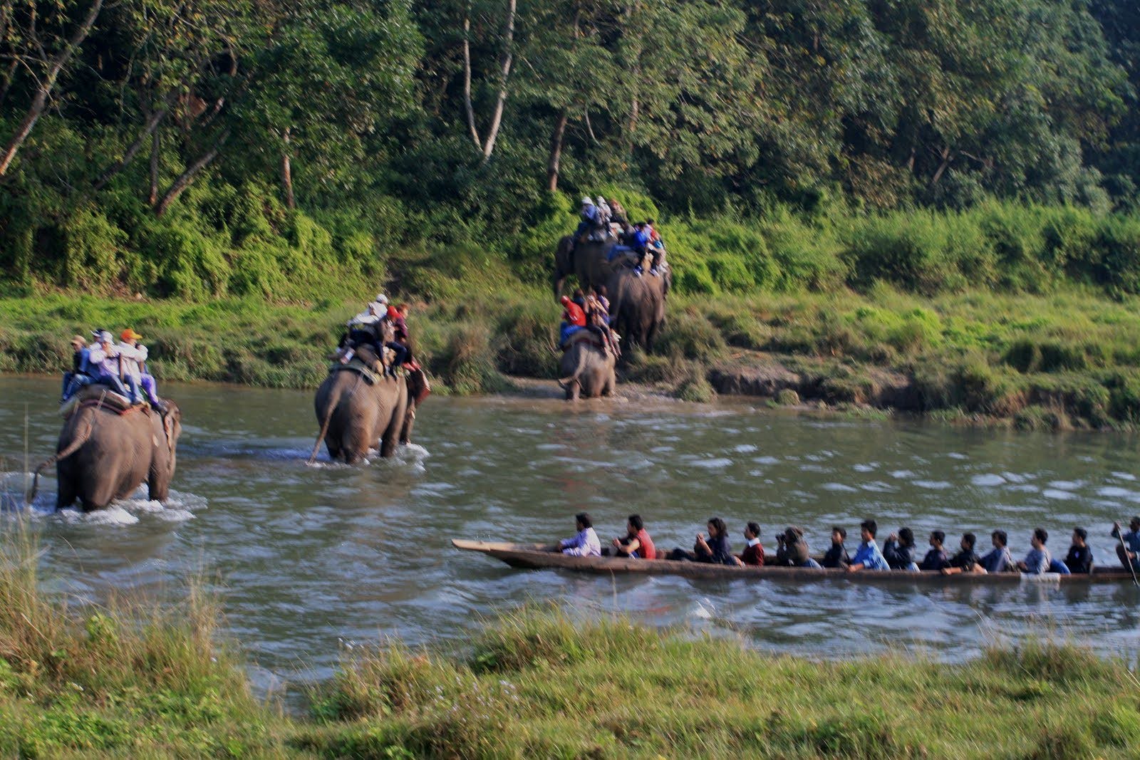 NEPAL JUNGLE – WILD LIFE SAFARI